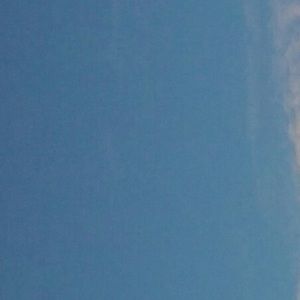 Meet your Posher, Kelli